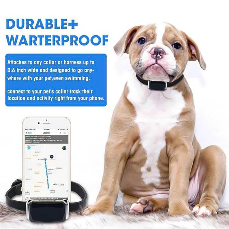 TAI VALLEY Cat Dog Locator Collar Gps Suministros Para Mascotas Smartgps Resistente Al Agu