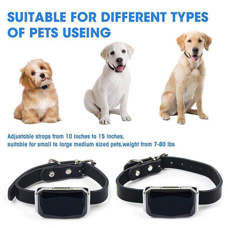 TAI VALLEY Cat Dog Locator Collar Gps Suministros Para Mascotas Smartgps Resistente Al Agu