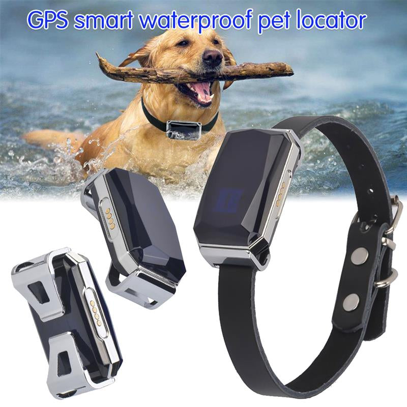 TAI VALLEY Cat Dog Locator Collar Gps Suministros Para Mascotas Smartgps Resistente Al Agu