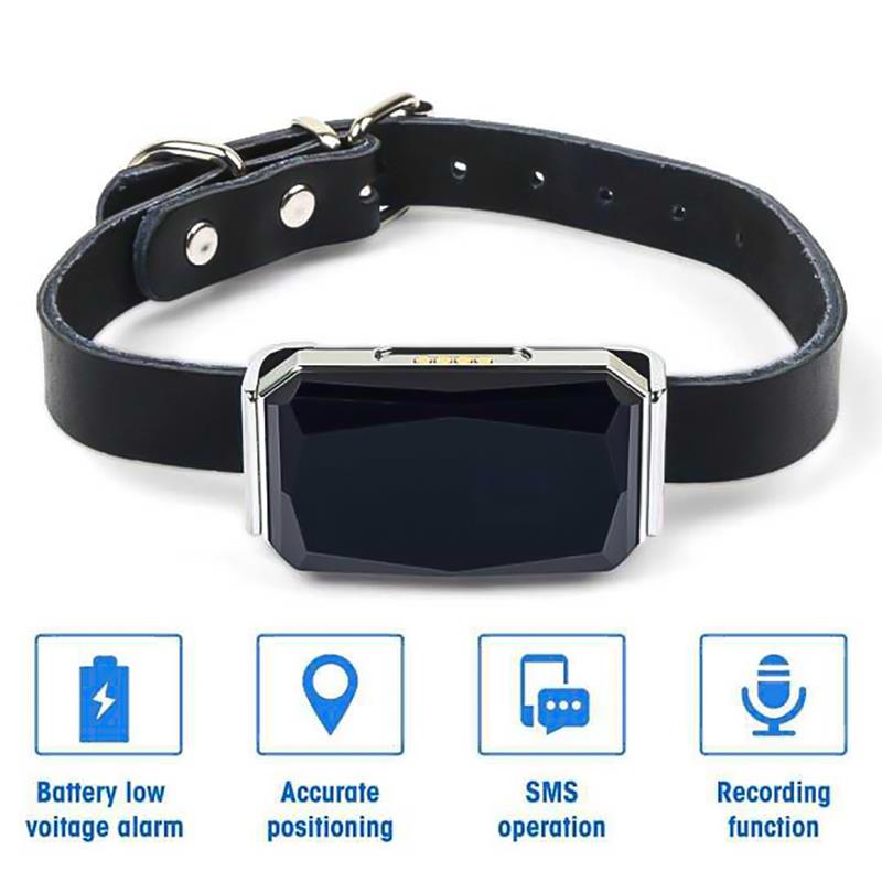 TAI VALLEY Cat Dog Locator Collar Gps Suministros Para Mascotas Smartgps Resistente Al Agu