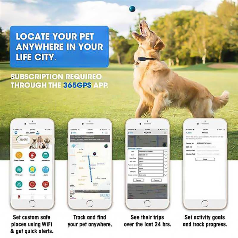 TAI VALLEY Cat Dog Locator Collar Gps Suministros Para Mascotas Smartgps Resistente Al Agu