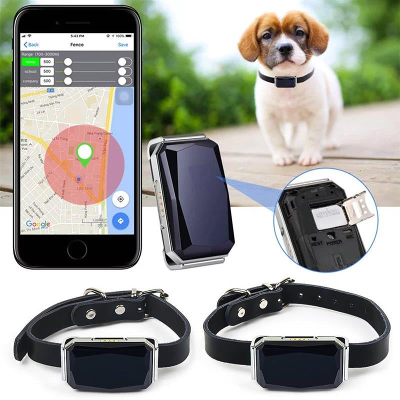 TAI VALLEY Cat Dog Locator Collar Gps Suministros Para Mascotas Smartgps Resistente Al Agu